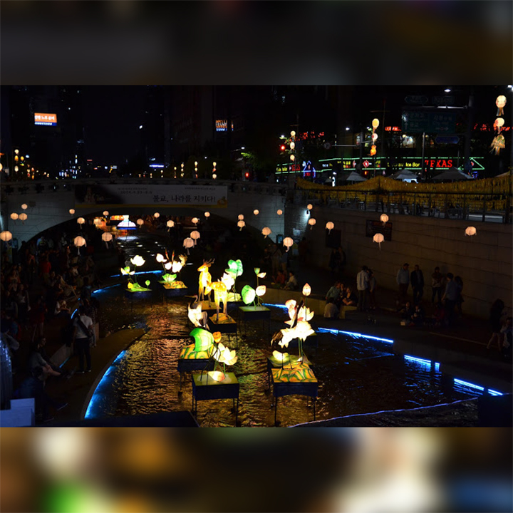 Korea-festival-lanternes-lotus